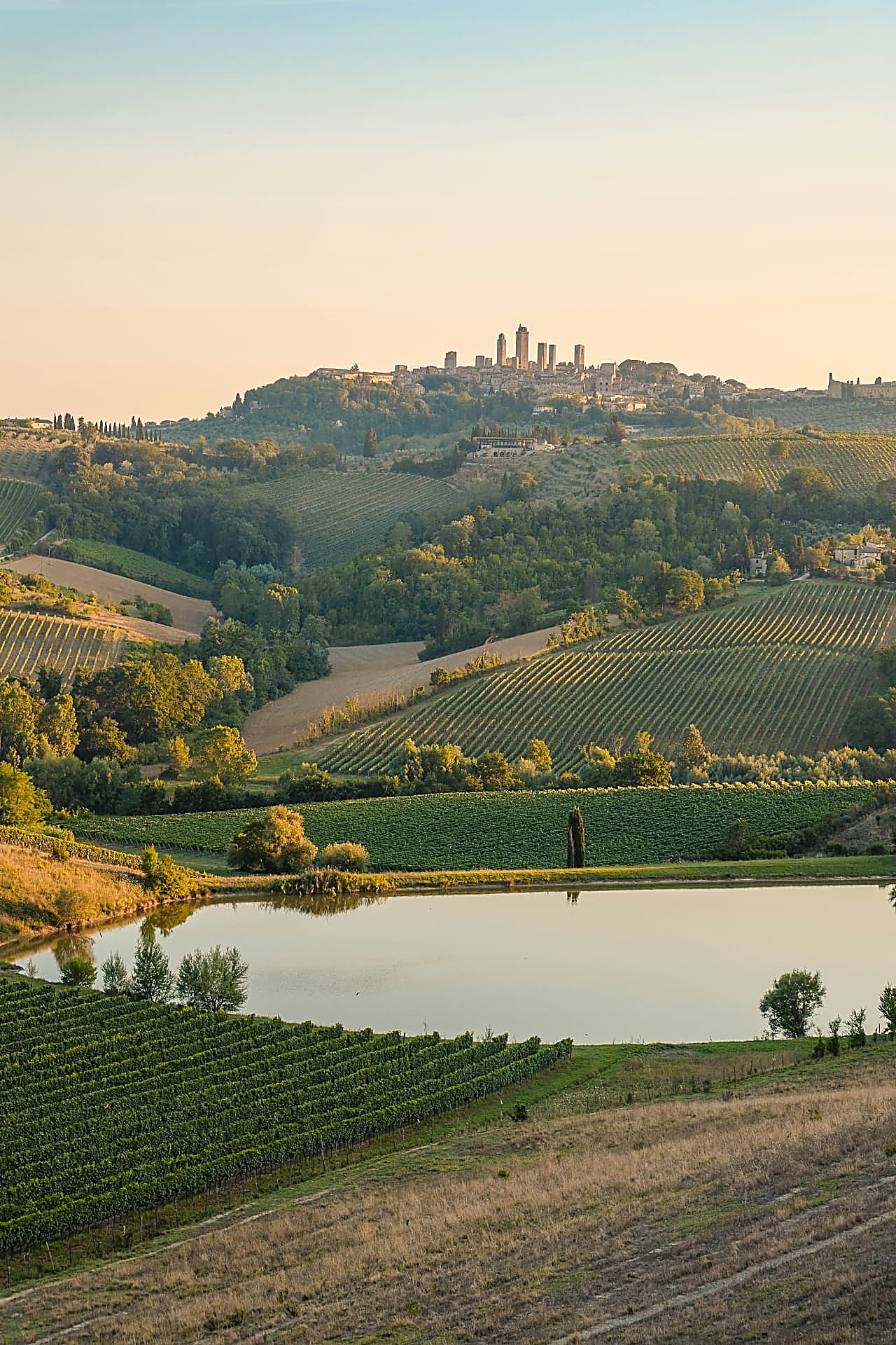 San Gimignano towers over Tuscan vineyards at sunset