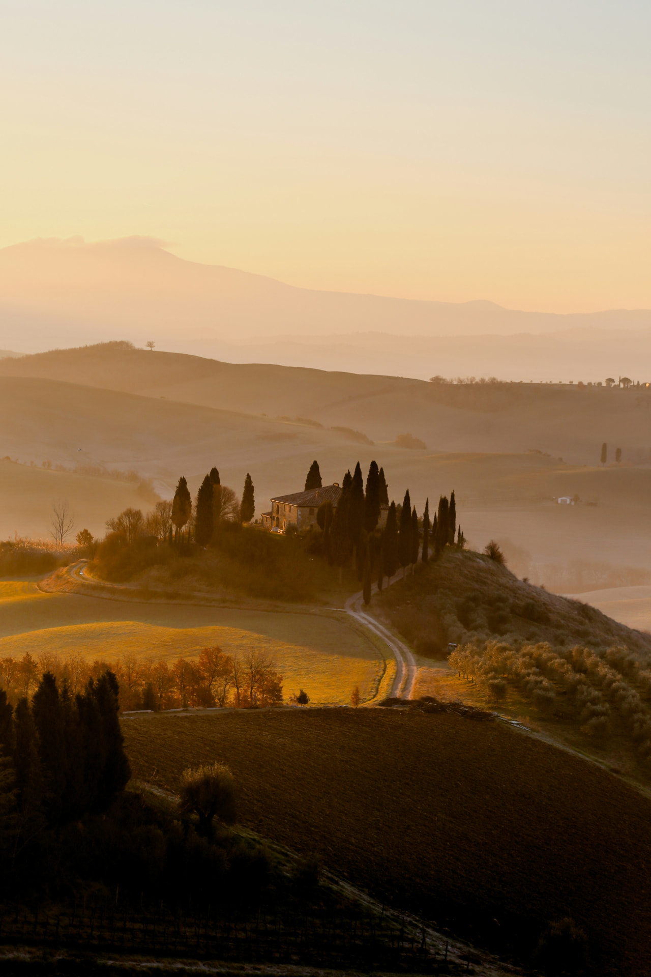 Tuscan villa framed by cypress trees at golden hour