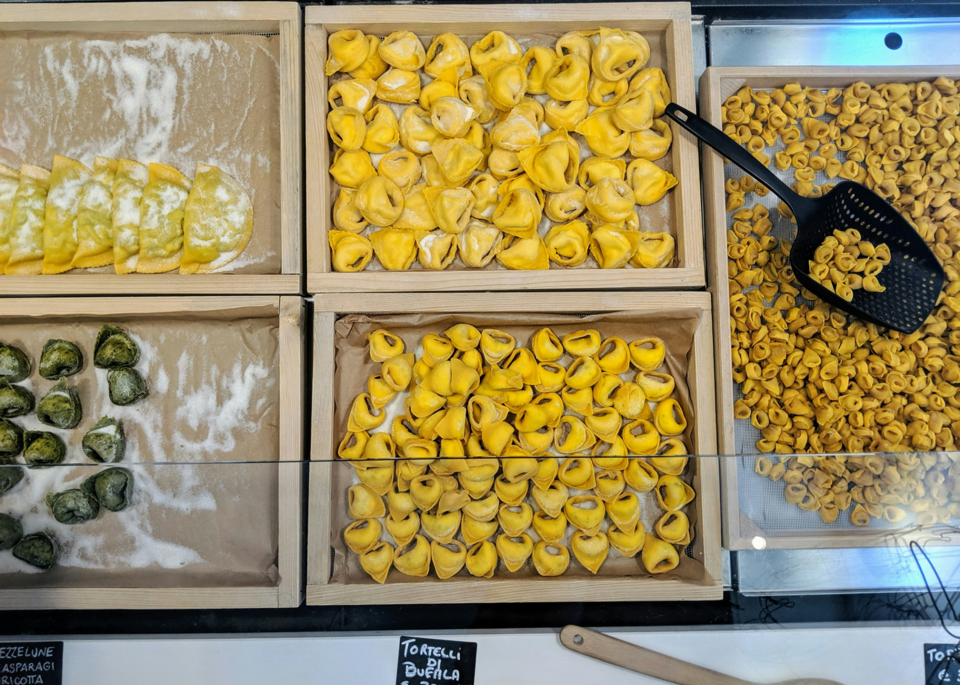 Trays of fresh tortellini in a Bologna pasta shop